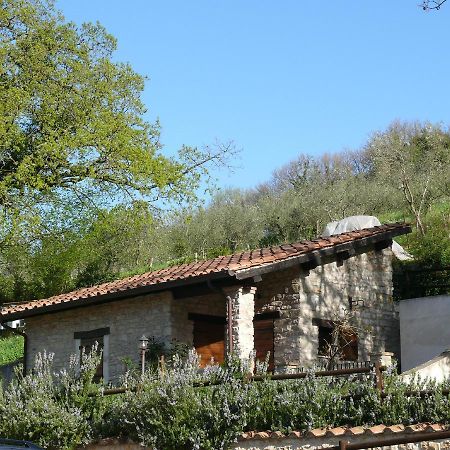 Complesso Agrituristico La Ciriola Vila Piediluco Exterior foto